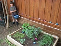 Kids_EasterEggHunt-2011 (4)